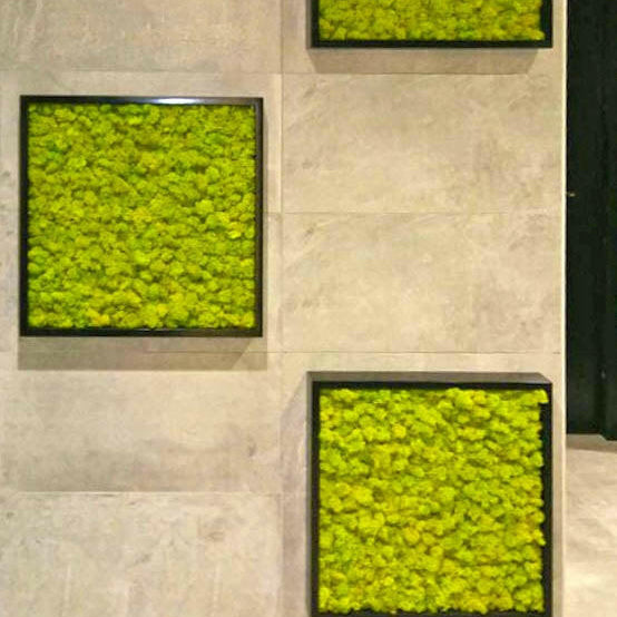 Artificial Flexi Back Green Wall Cheviot 100 x 100cm