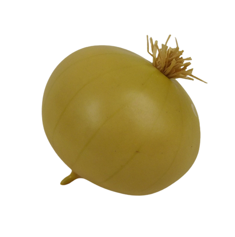 Artificial Onion
