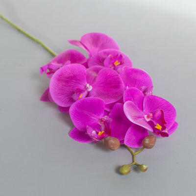 Artificial Silk Phalaenopsis, Real Touch