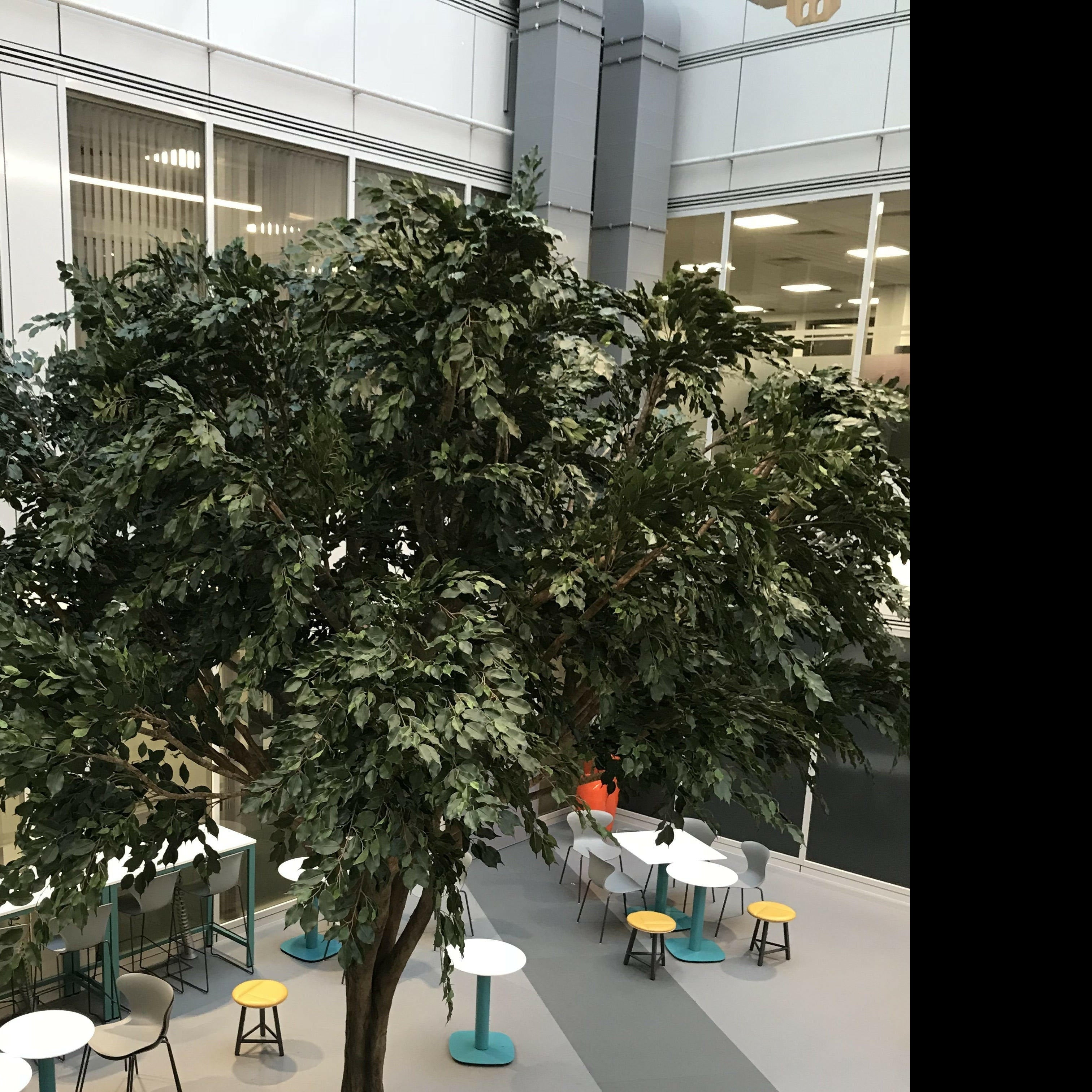 Artificial Bespoke Large Fabricated Ficus Tree