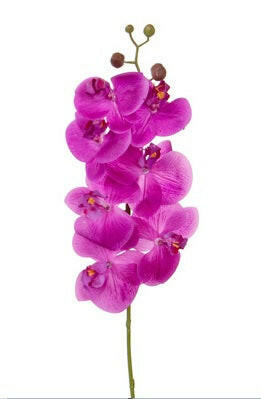 Artificial Silk Phalaenopsis, Real Touch