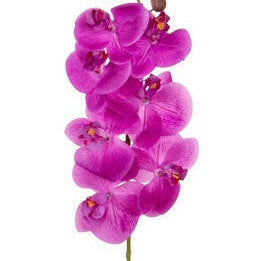 Artificial Silk Phalaenopsis, Real Touch