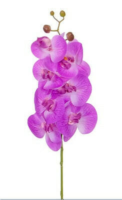 Artificial Silk Phalaenopsis, Real Touch