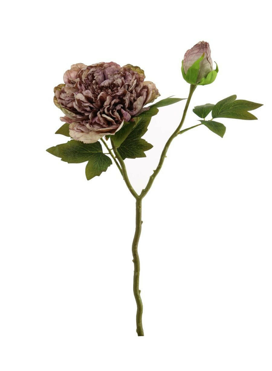 Artificial Dried Touch Open Peony with bud & Leaves