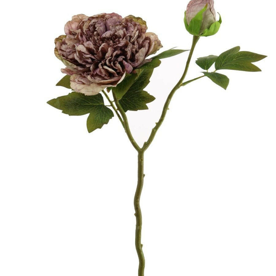 Artificial Dried Touch Open Peony with bud & Leaves