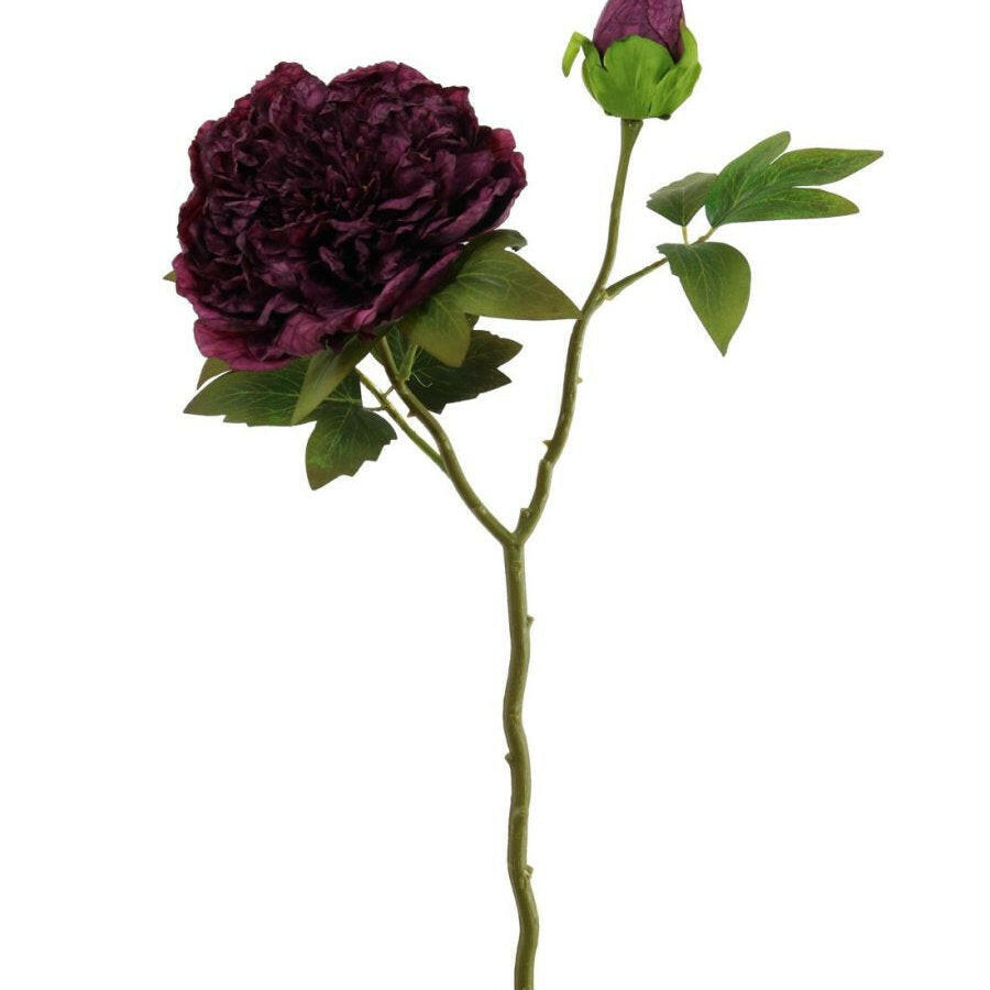 Artificial Dried Touch Open Peony with bud & Leaves