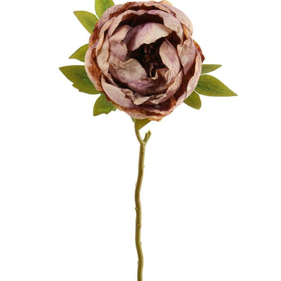 Artificial Dried Touch Open Peony