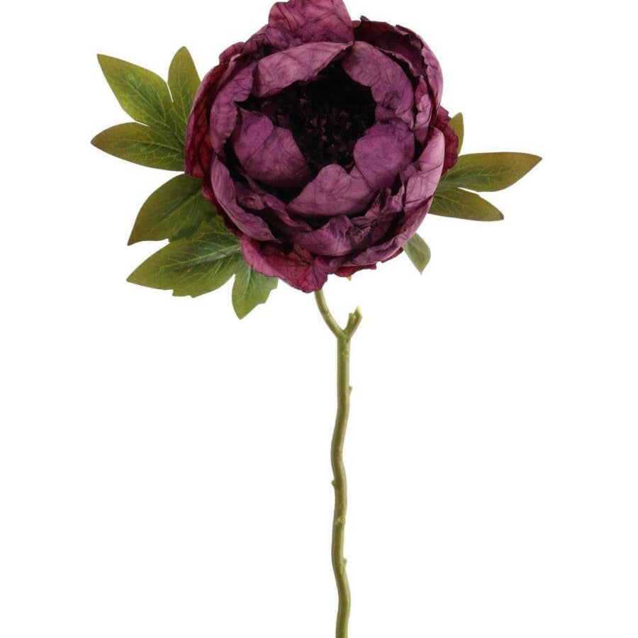 Artificial Dried Touch Open Peony