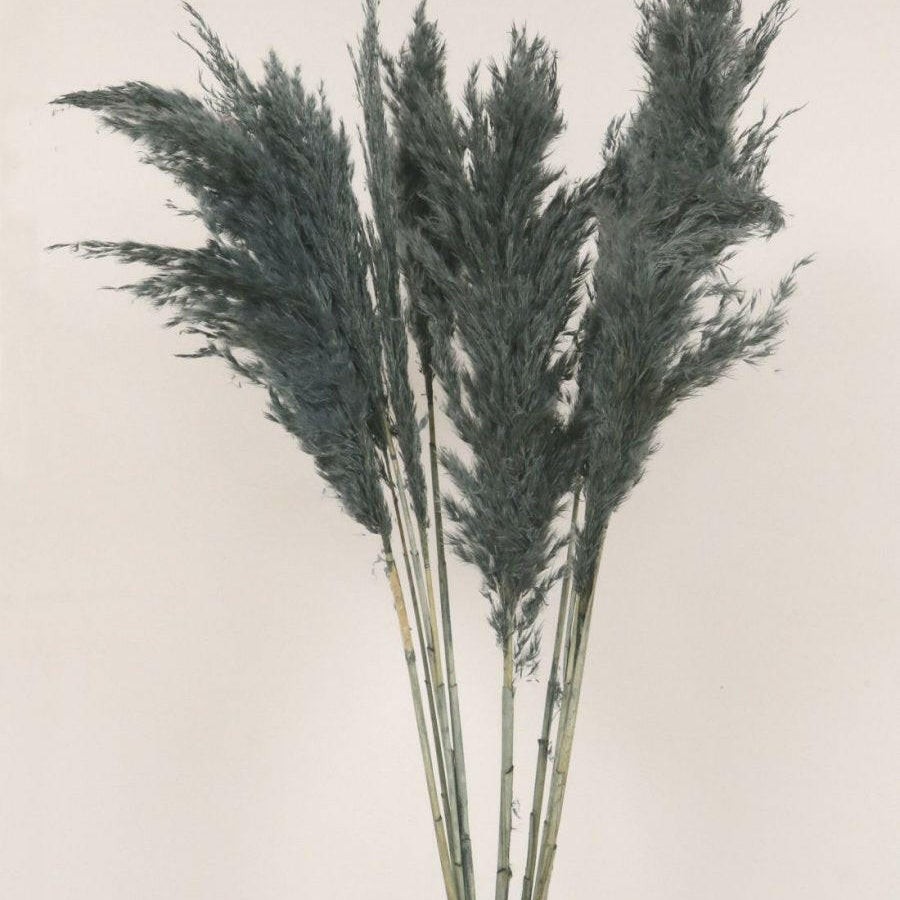 Artificial Dried Extra Fluffy Pampas Bunch