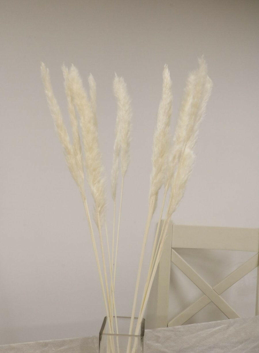 Artificial Dried Reed Pampas Bunch