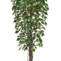 Artificial Silk Hawaiian Ficus Tree IFR