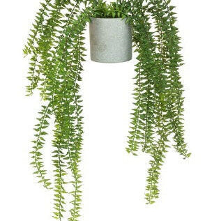 Artificial Potted Club Moss Fern In Pot