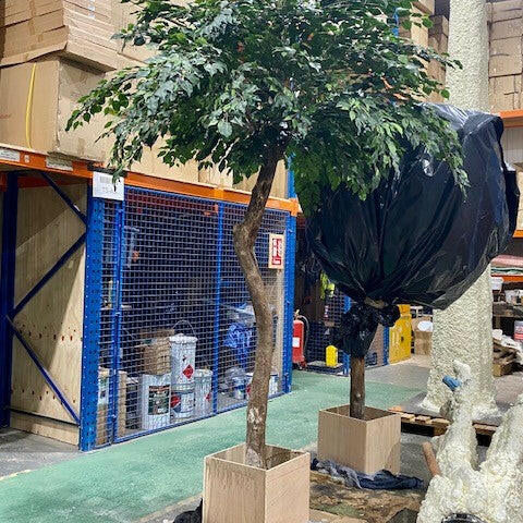 Artificial Natural Large Bespoke Ficus Tree