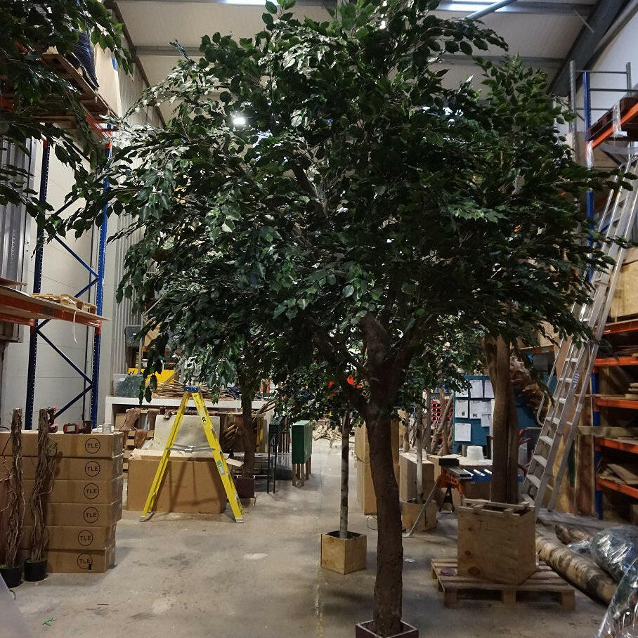 Artificial Natural Bespoke Large Resin Ficus Tree