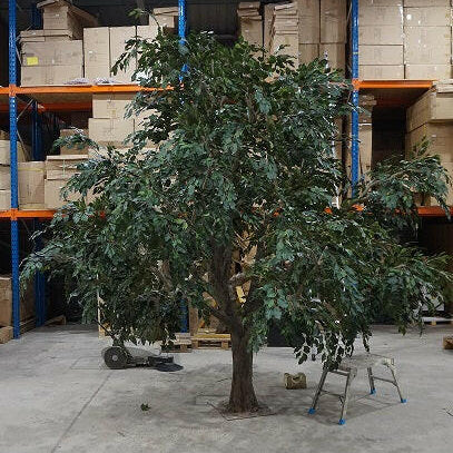 Artificial Bespoke Fabricated Ficus Tree