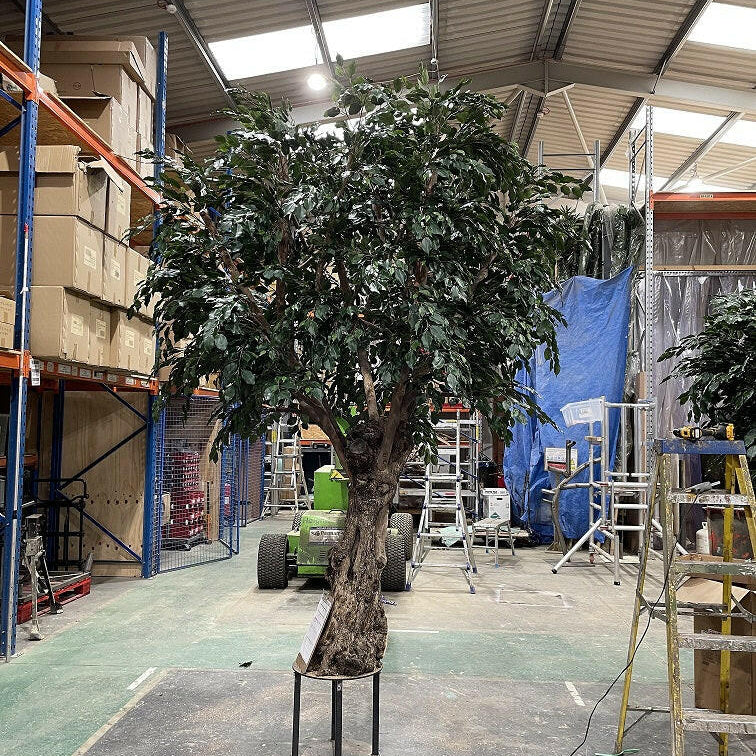 Artificial Large Bespoke Resin Ficus Tree