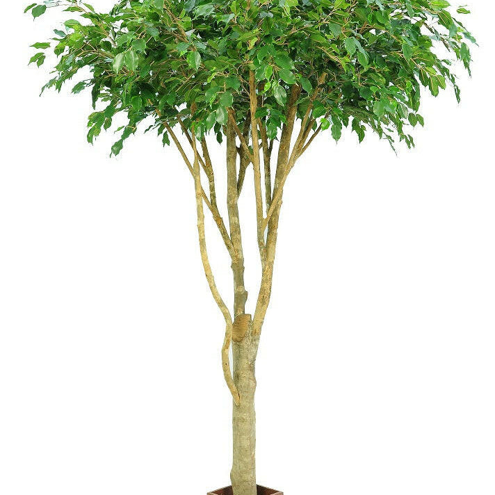 Artificial Silk Ficus Tree Natural Trunk 