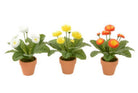 Justartificial Potted Bellis in Terracotta Pots x3