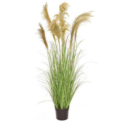 Justartificial Reed Grass 170cm