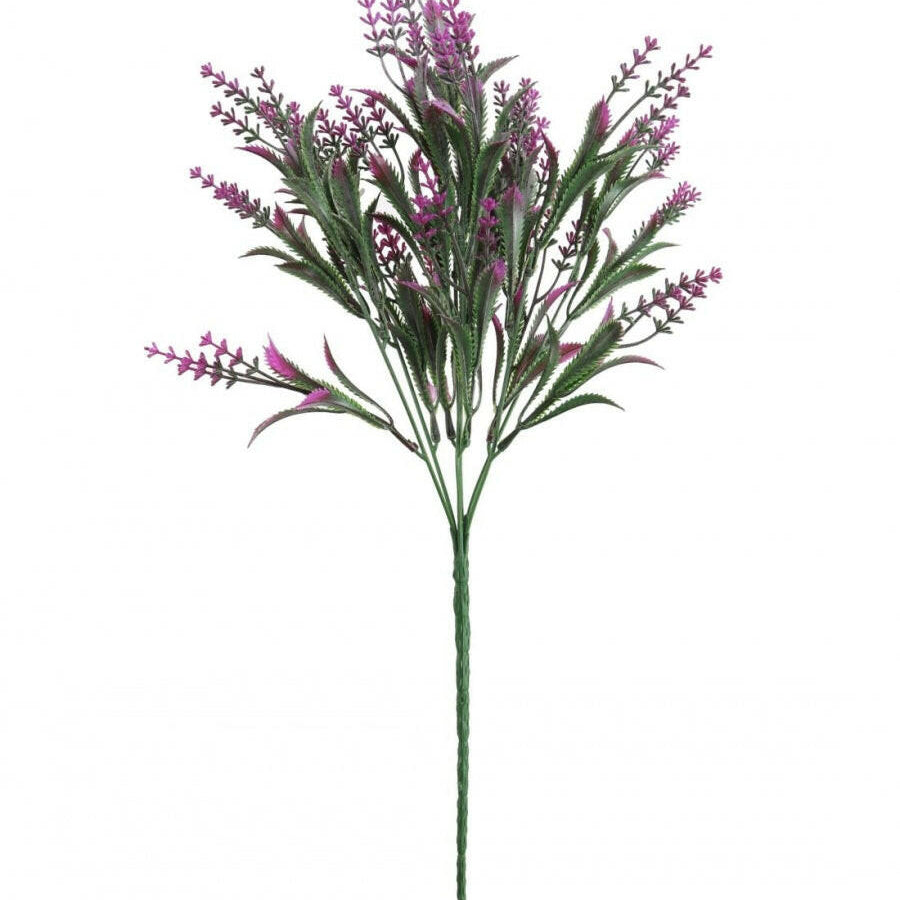 Shellfeast Dry Lavender Flowers/Buds 100 Grams In Jar, Natural Blue Tea Shellfeast Dry Lavender Flowers/Buds 100 Grams In Jar, Natural Blue Tea