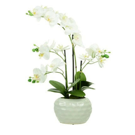 Justartificial Silk Phalaenopsis in Dimple Pot