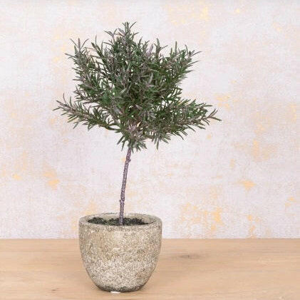 Just artificial Potted Rosemary Topiary Tree
