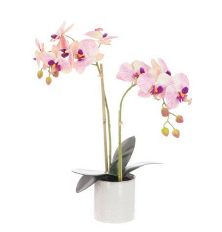Artificial Orchid x2 In Ceramic Pot 47cm