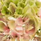 Justartificial.co.uk Hydrangea Light Green Pink 46cm close up