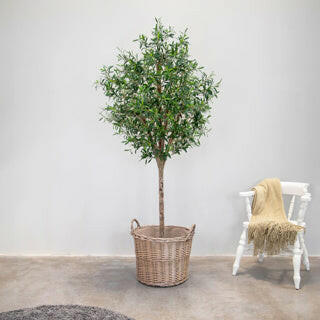 Justartificial.co.uk Natural Trunk Olive Tree FR 210cm
