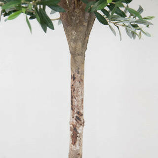 Justartificial.co.uk Natural Trunk Olive Tree FR 210cm stem close up