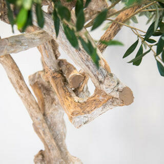 Artificial Silk Olive Coffee Stem Tree Trunk FR