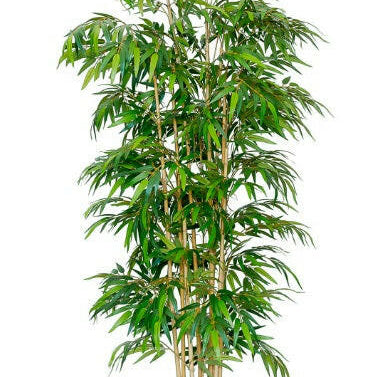 Justartificial.co.uk artificial Mini Bamboo Tree in carriage pot