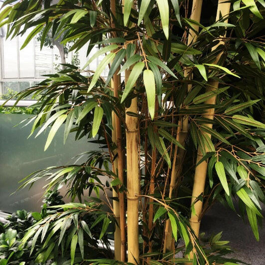 Justartificial.co.uk artificial Mini Bamboo Tree close up
