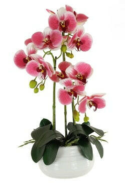 Artificial Silk Staggered 3 Stem Phalaenopsis Bowl Arrangement