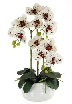 Artificial Silk Staggered 3 Stem Phalaenopsis Bowl Arrangement