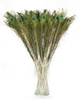 Artificial Peacock Tail