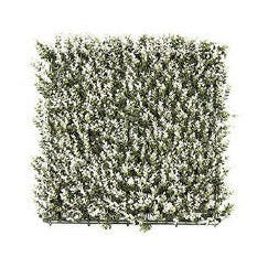 Justartificial.co.uk White Buxus Living Wall x12