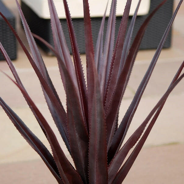 Artificial Aloe Vera Pandanus Plants