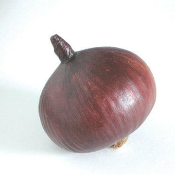 Artificial Large Onion