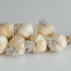 Artificial Garlic String