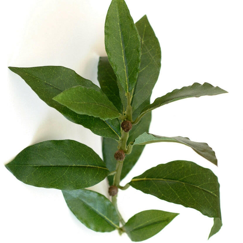 Artificial Silk Bay Leaf Spray IFR