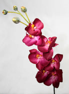 Artificial Silk Phalaenopsis Orchid Single Stem