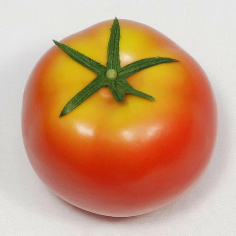 Artificial Tomato