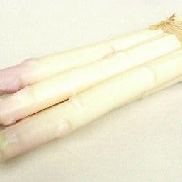 Artificial Asparagus Bundle