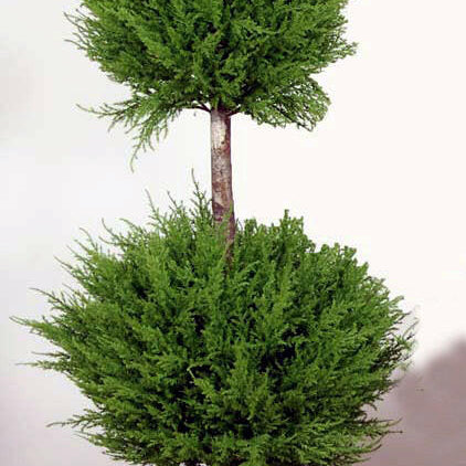 Artificial Cedar Triple Ball Tree in Lead Look Planter