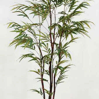 Artificial Silk Bamboo Black Stem Zig-Zag Tree in Pot