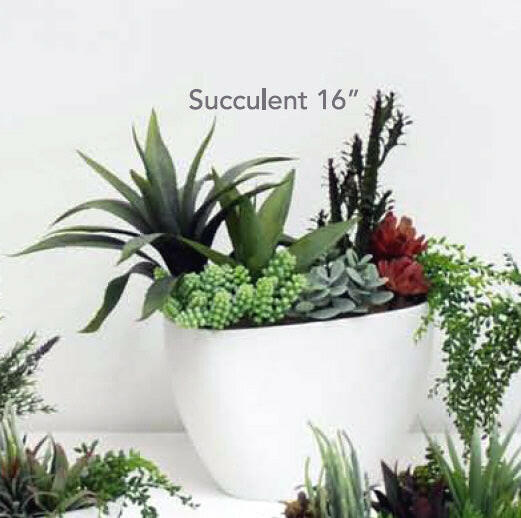 Artificial Succulent Plants