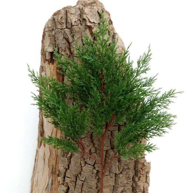 Artificial Cedar/Cypress Spray