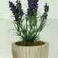 Artificial Lavender in Cream Leaf Planter