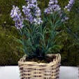 Artificial Silk Lavender in Large Rattan Planter